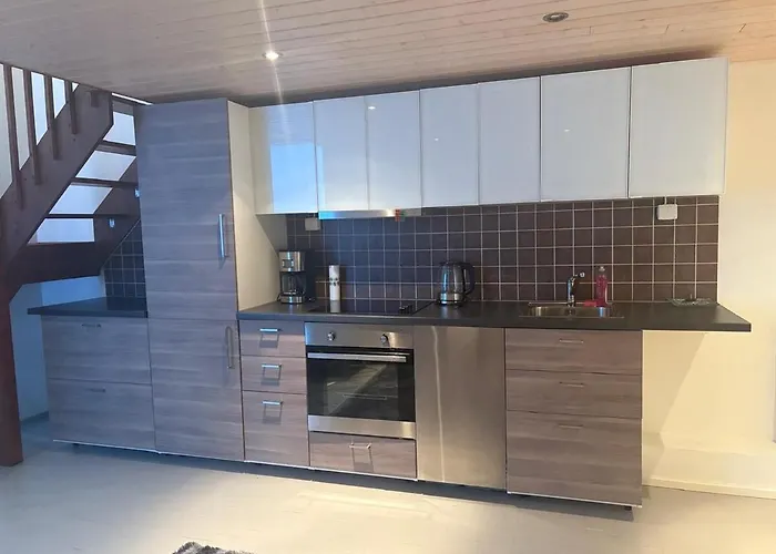 公寓 Modern Nearby Subway Station In 赫尔辛基